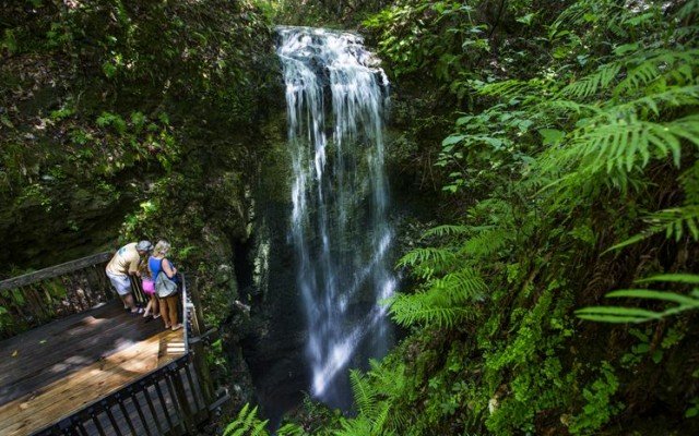 Outdoor State Parks in Memphis